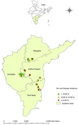 Prevalence of groundnut dry root rot (Macrophomina phaseolina (Tassi) Goid.) and its pathogenic variability in Southern India